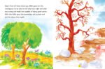 Quran Stories For Kids (PB) - Image 3